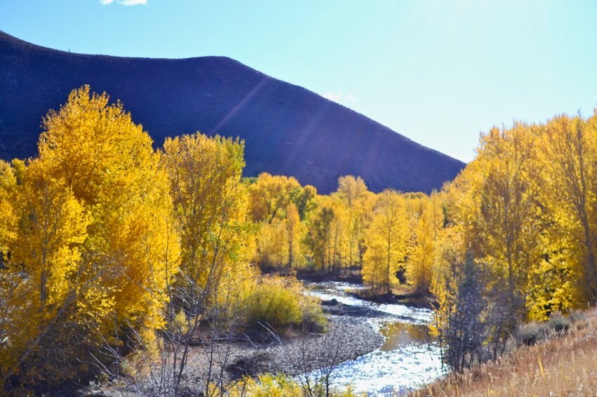 hikes for toddlers sun valley idaho.jpeg