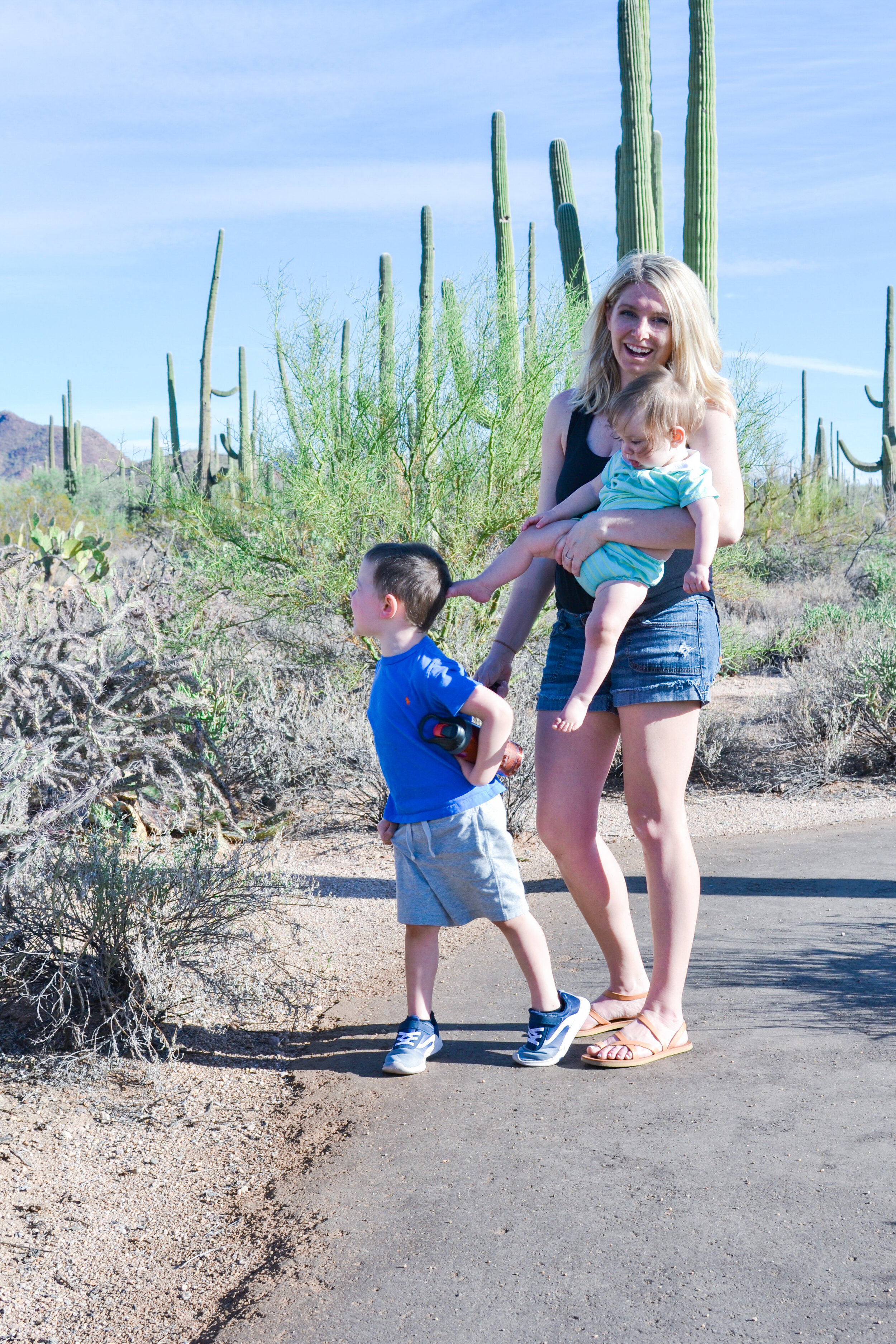 What to do in Saguaro National Park with Kids — Big Brave Nomad