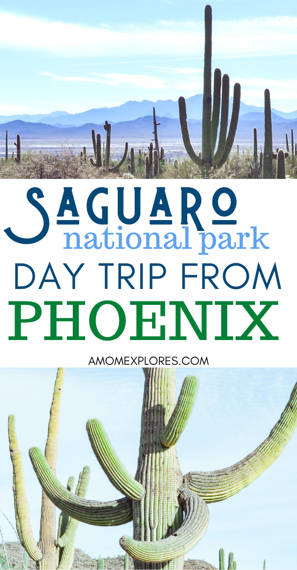 saguaro day trip from phoenix.png