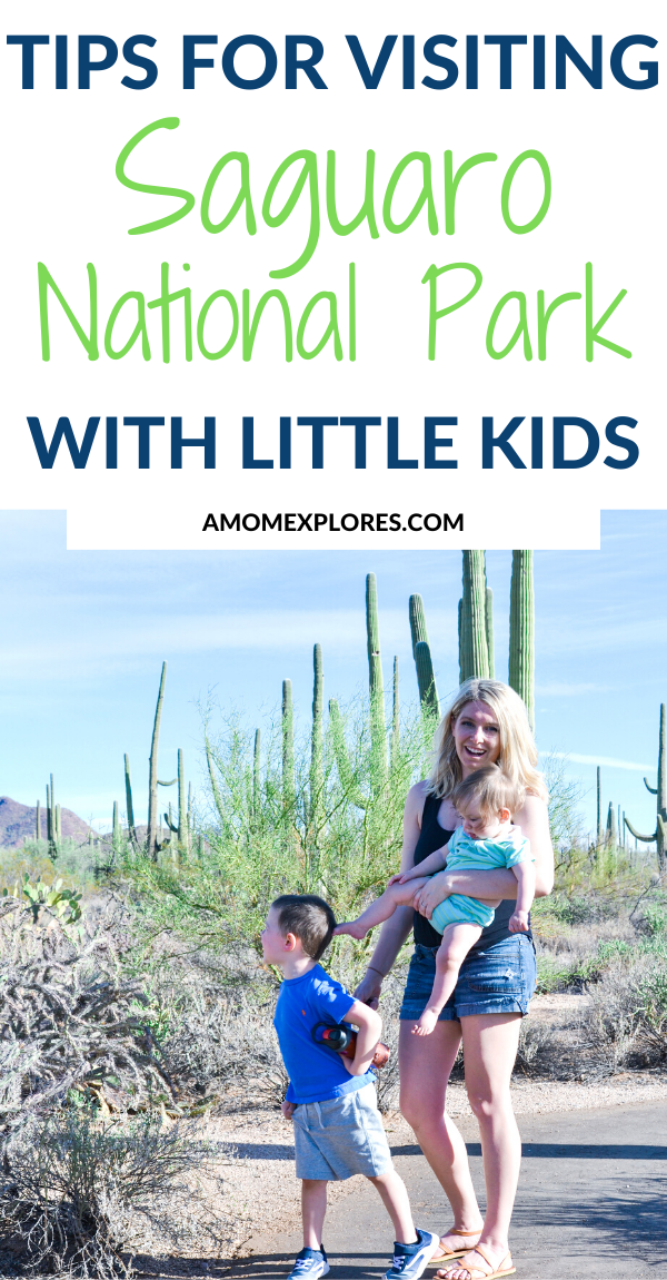 TIPS FOR visiting Saguaro NP with Little kids.png