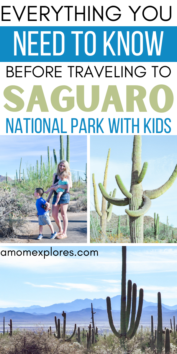 Visiting Saguaro National Park with Little Kids — A Mom Explores
