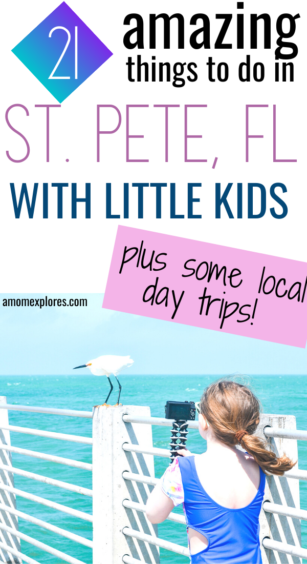 amazing things to do in st Pete fl.png