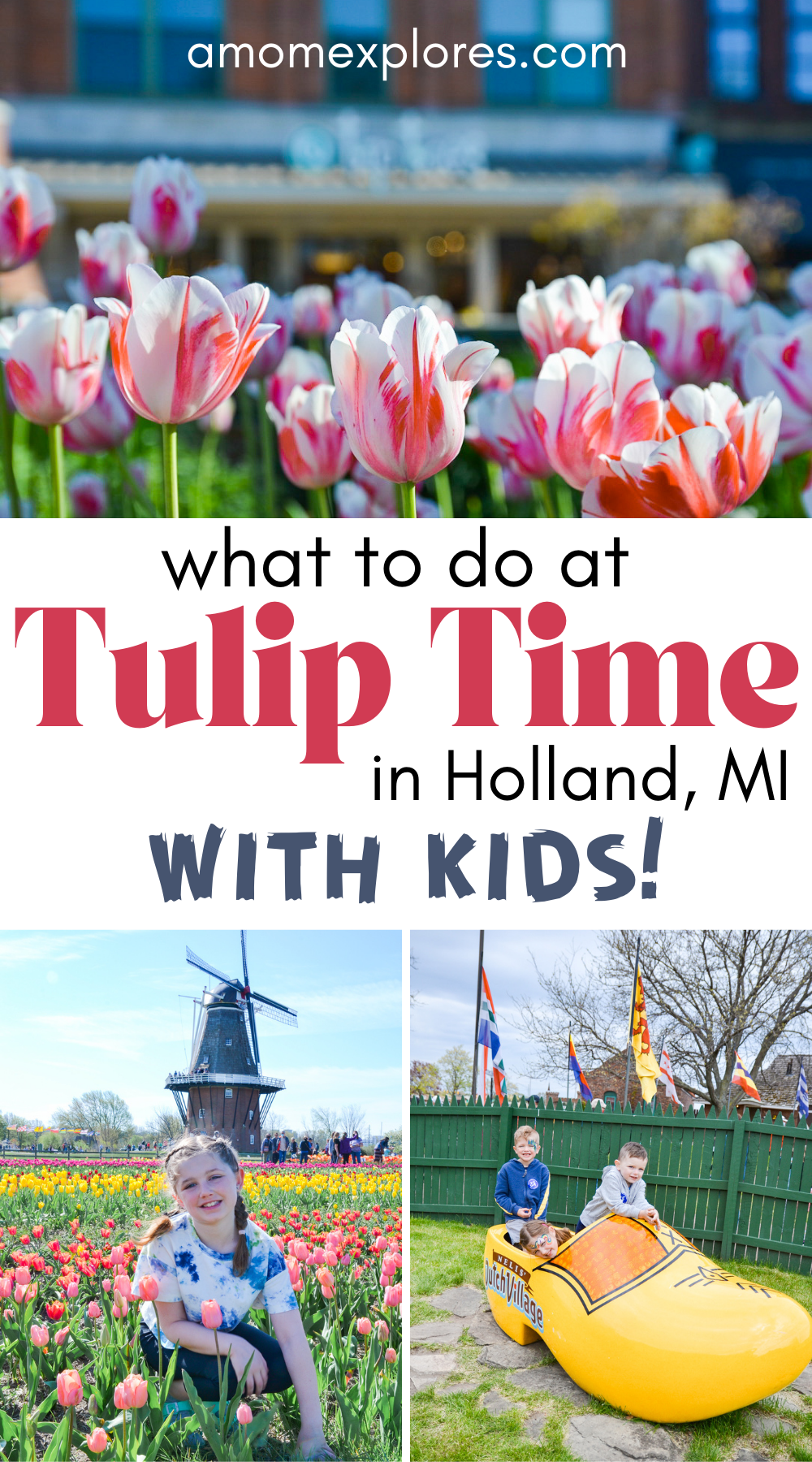 What to Do at Tulip Time in Holland, MI with Kids.png