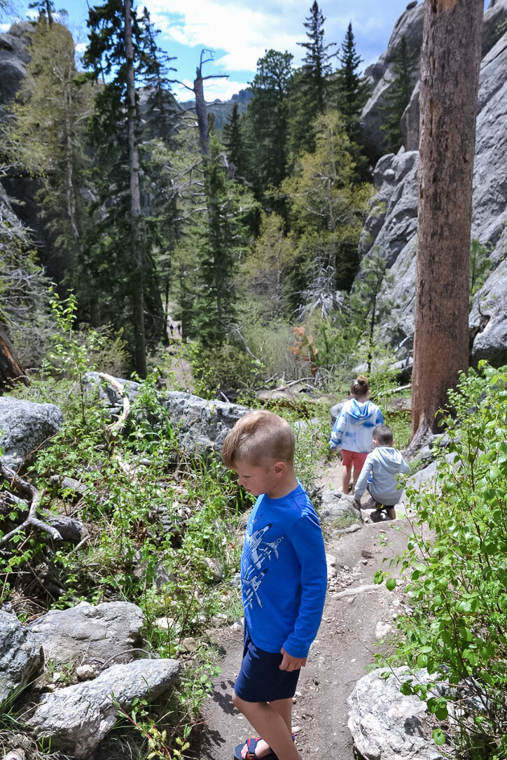 sylvan lake shore trail with kids.jpg