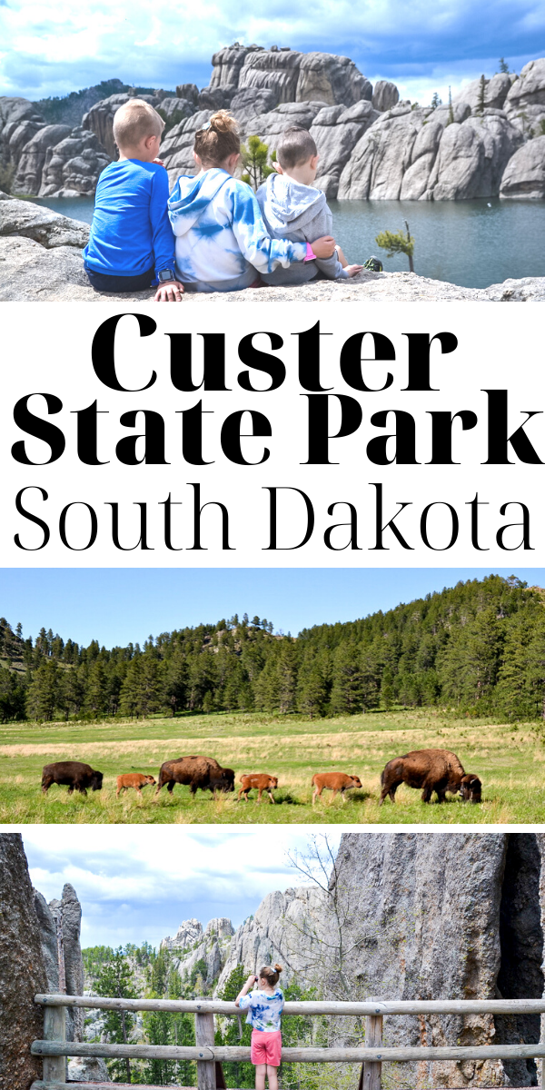 Custer State Park South Dakota.png