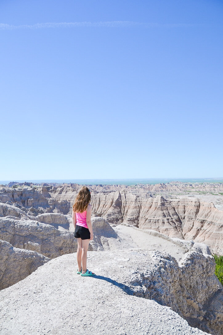 badlands overlook with kids.jpg