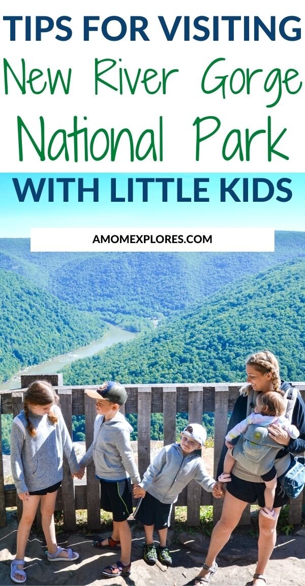 Tips for visiting new river gorge np with little kids.jpg