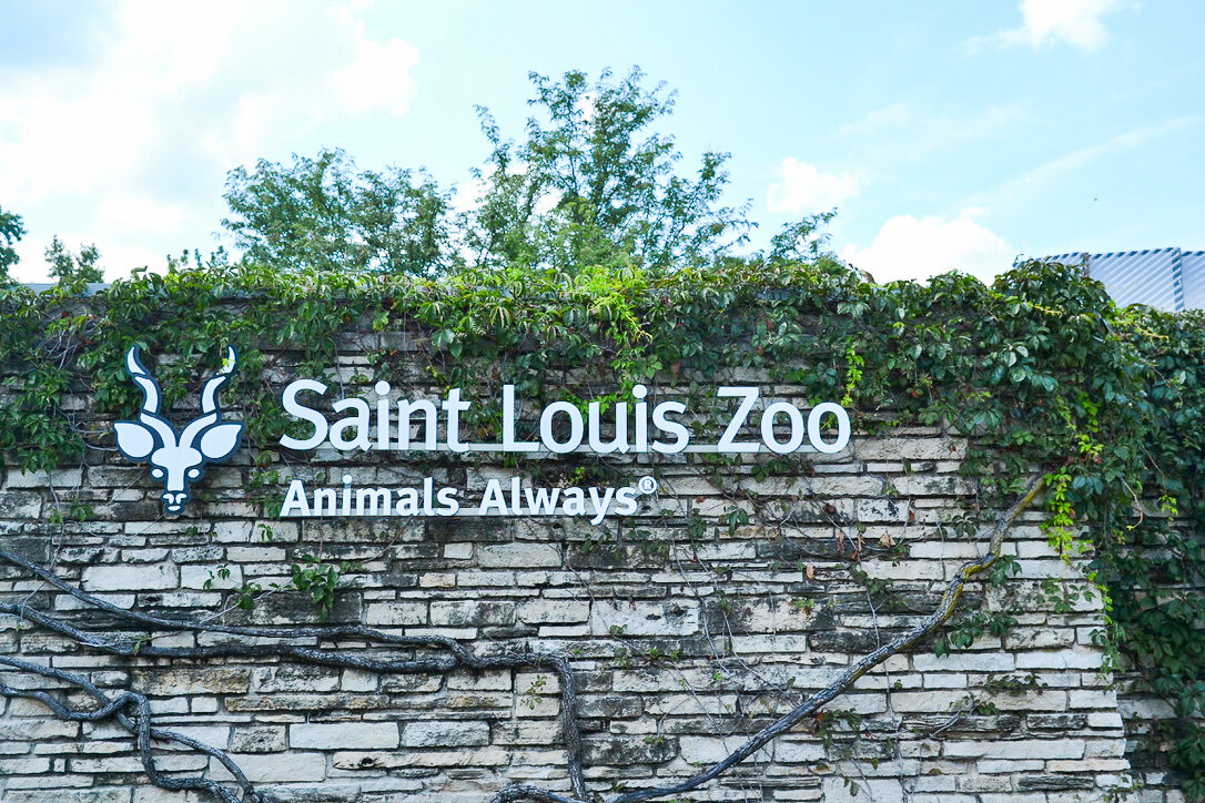 St. Louis Zoo .jpg