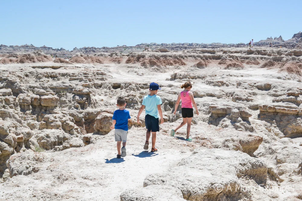 Badlands-1.jpg