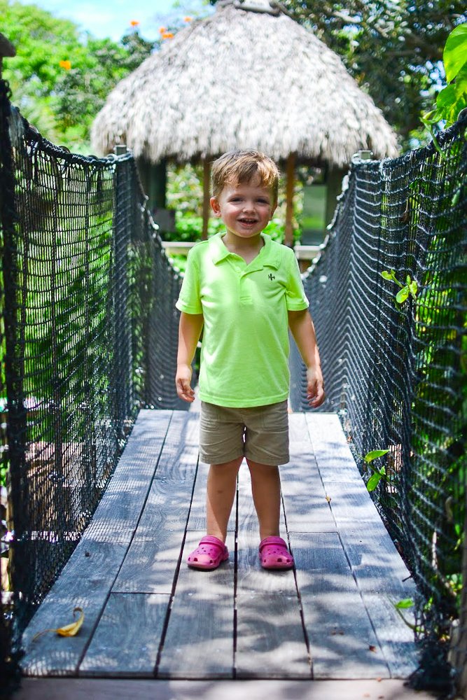 best toddler activities in Sarasota with kids Marie Selby Botanical Gardens family vacation spring break A Mom Explores family travel blog.jpg