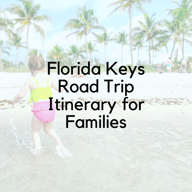 Florida Keys Road Trip Itinerary for Families — A Mom Explores  Family  Travel Tips, Destination Guides with Kids, Family Vacation Ideas, and more!