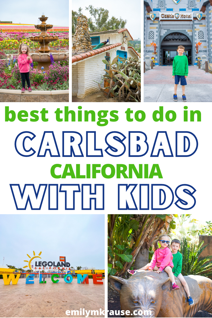 BEST THINGs to do in Carlsbad cali with kids.png