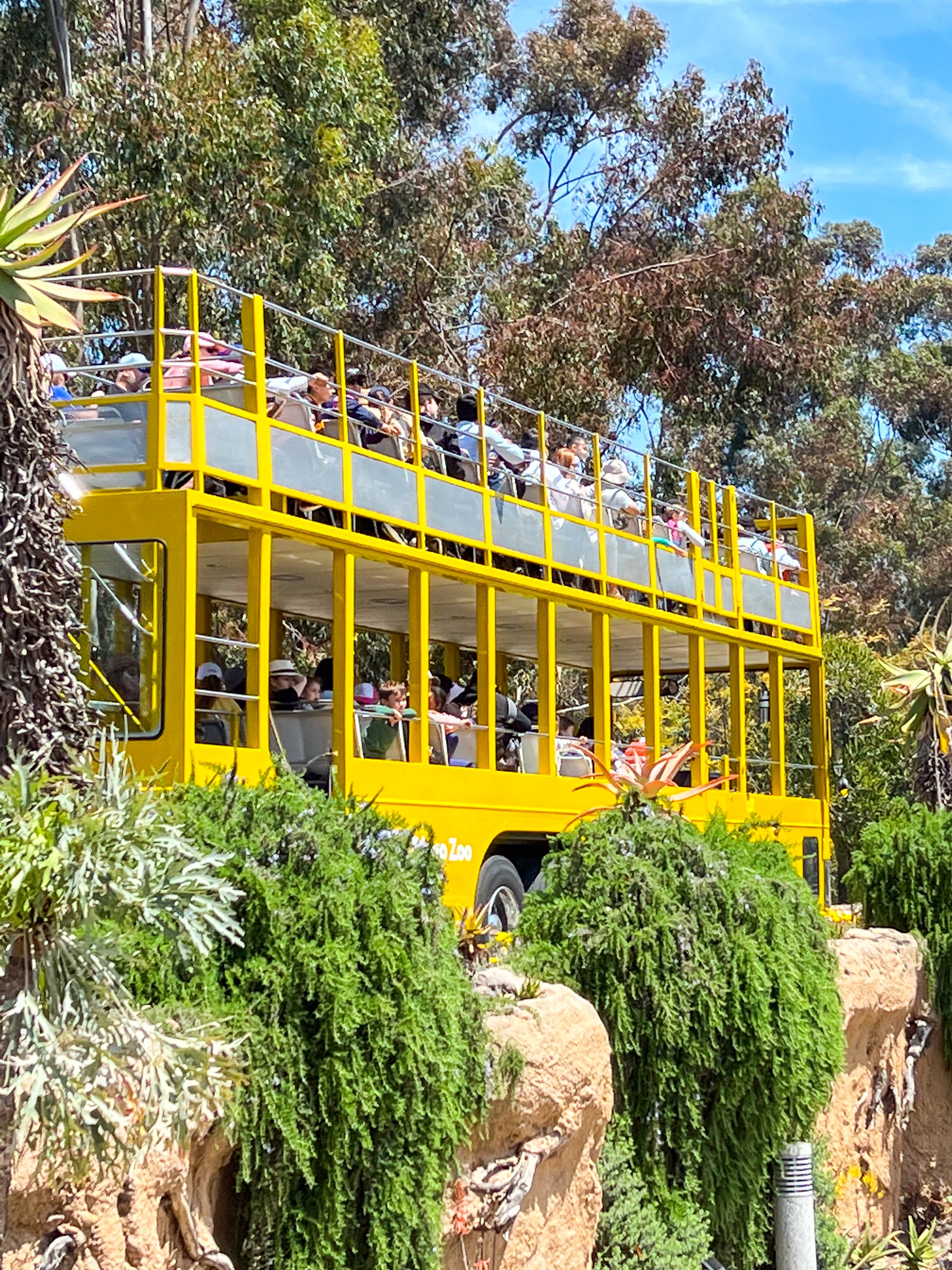 San Diego Zoo free bus tour.jpg