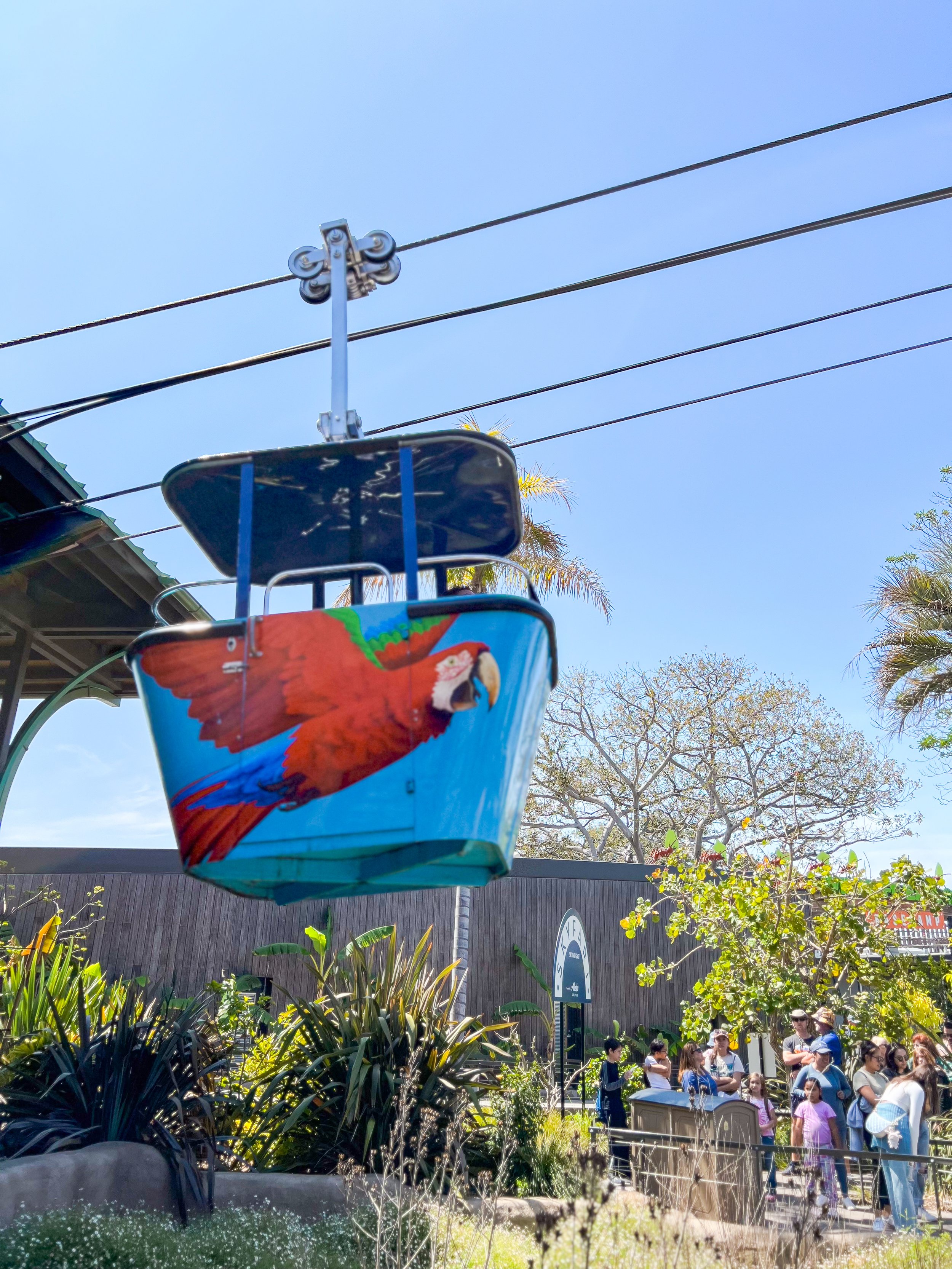 San Diego Zoo Skyfari Aerial Tram.jpg