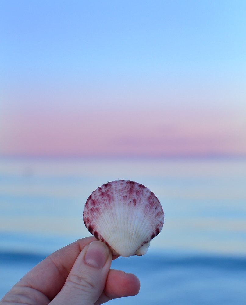 warm beaches usa february sanibel island captiva-1.jpg