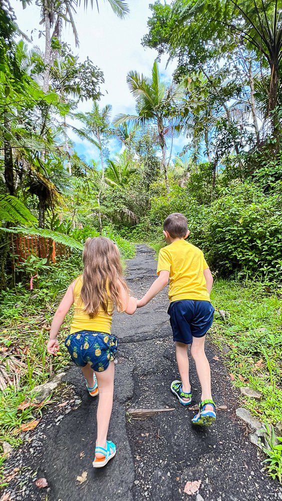 things to do with kids in puerto rico el yunque national forest-1.jpg