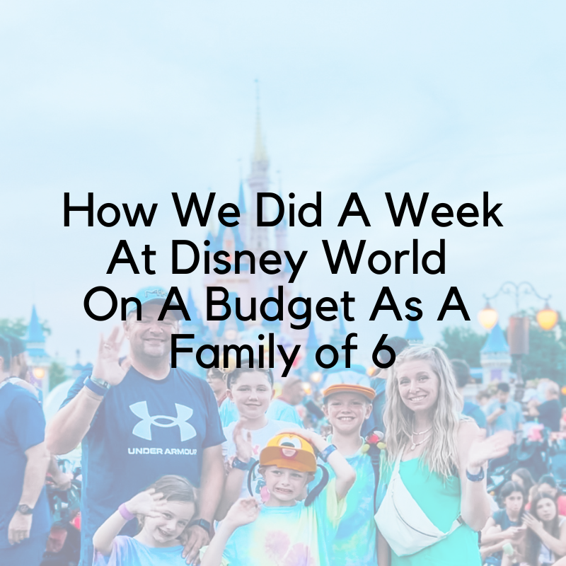 How We Did A Week At Disney World  On A Budget As A Family of 6