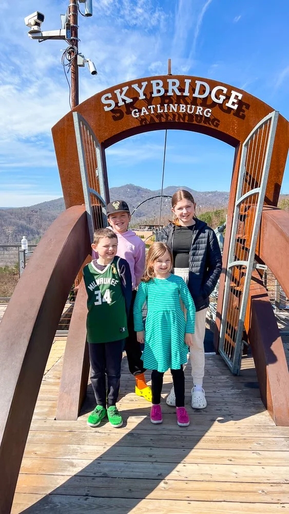 Skybridge Gatlinburg.jpg