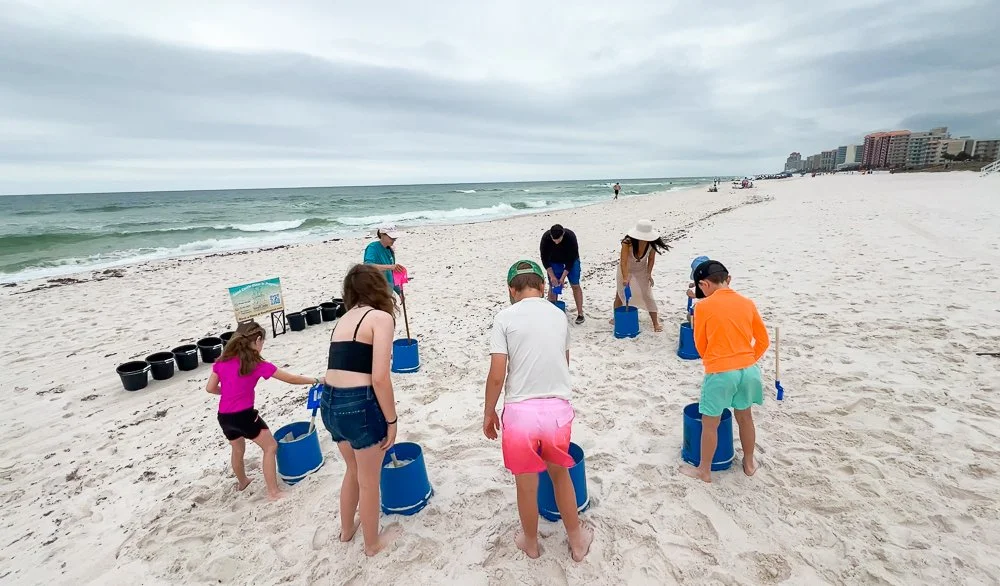 sandcastle university gulf shores alabama-2.jpg