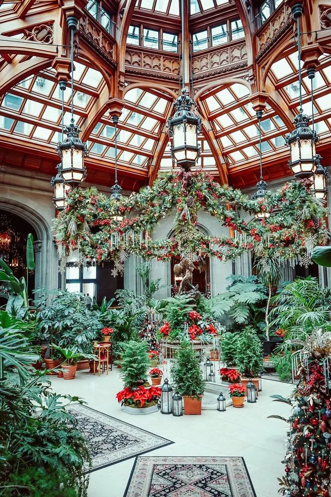 things to do in Asheville with kids at Christmas-1.jpg