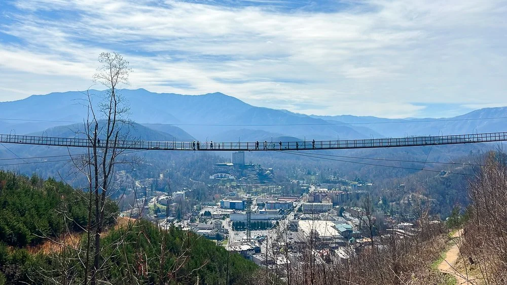 suspension pedestrian bridge with mountains in the background