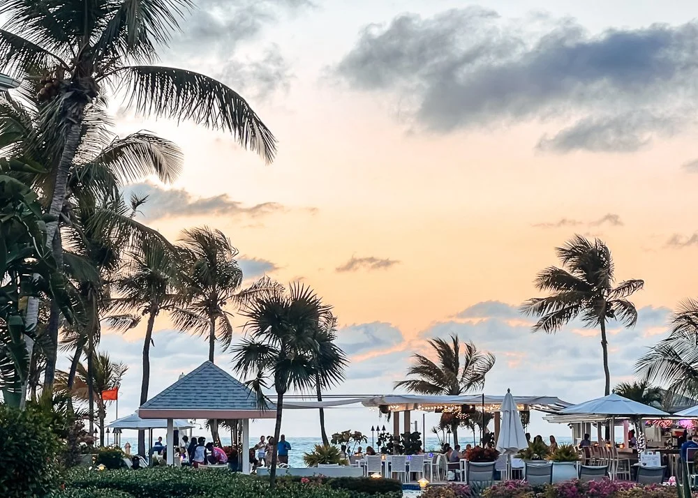 sunset view of palm trees ocean and outdoor restaurant