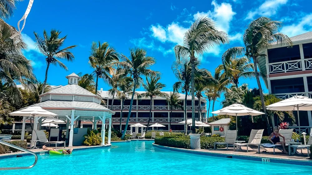 pool with palm trees lounge chairs and a building behind it