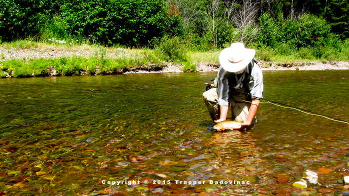 Trapper2-e1458760731630.jpg