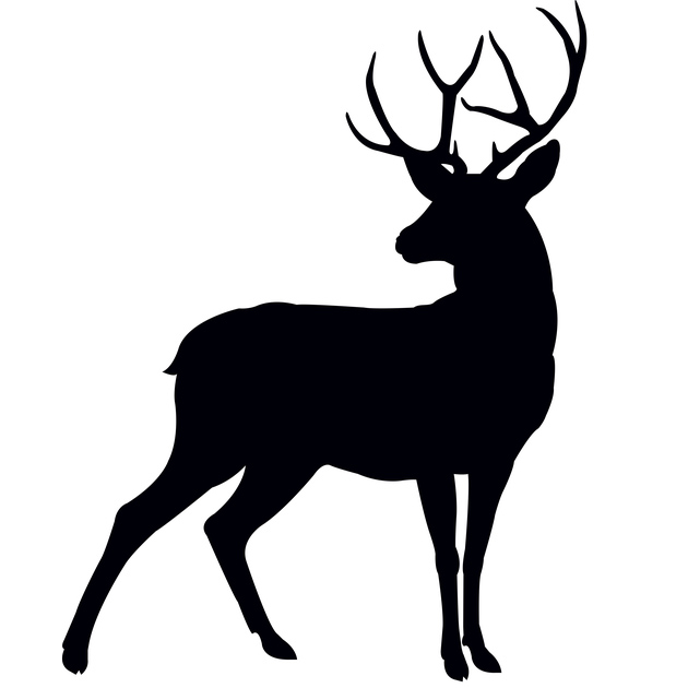 Mule Deer Rut Hunts (Copy)