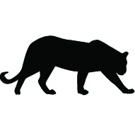 Mountain Lion (Copy)