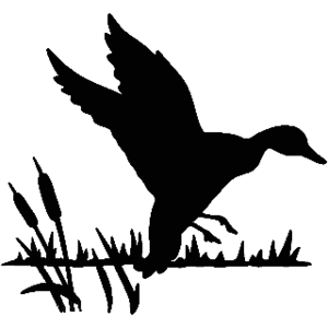 Waterfowl Hunts (Copy)