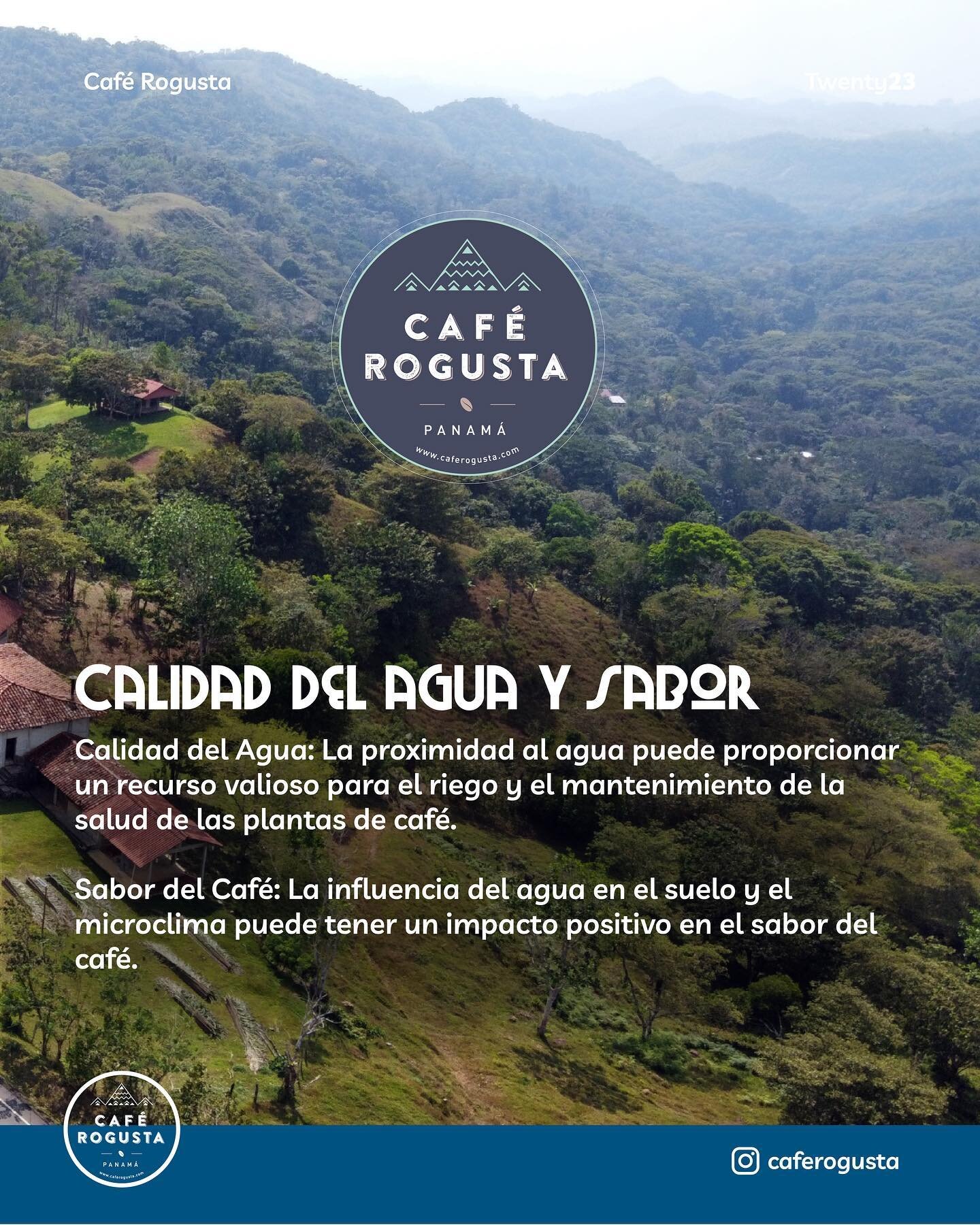 💧🌿 Agua y Caf&eacute;: Una asociaci&oacute;n vital. 💧☕

La calidad del agua es esencial. Su cercan&iacute;a garantiza hidrataci&oacute;n &oacute;ptima para las plantas de caf&eacute;. &iexcl;Un recurso valioso para el riego! 🌱

#Caf&eacute;Sosten