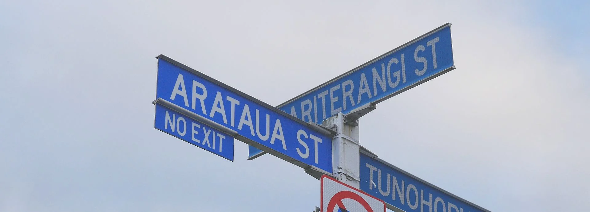 aratauastreet.jpg