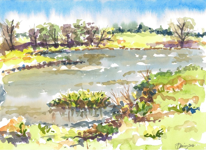 Oak Point A