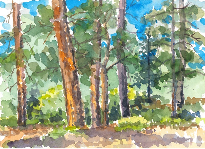 Taos High Meadow I