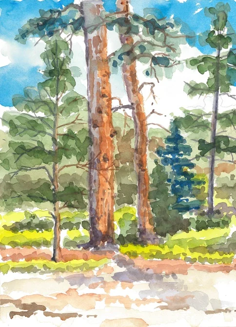 Taos High Meadow II