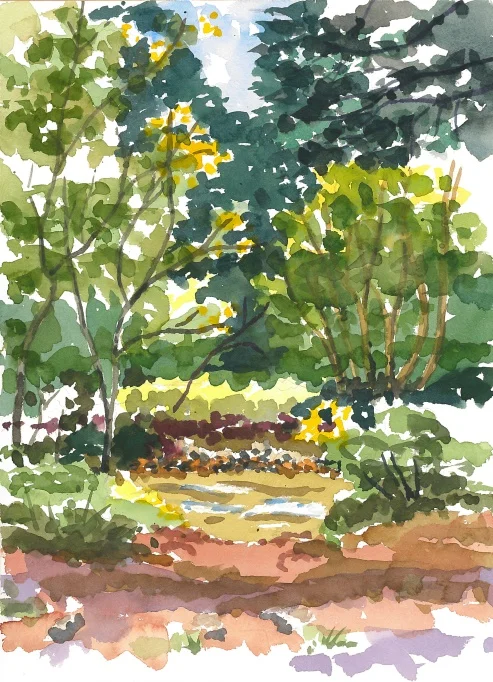 Taos Ski Valley Road 1