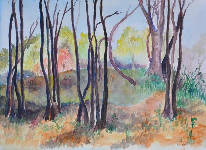 Trinity River Audubon Preserve