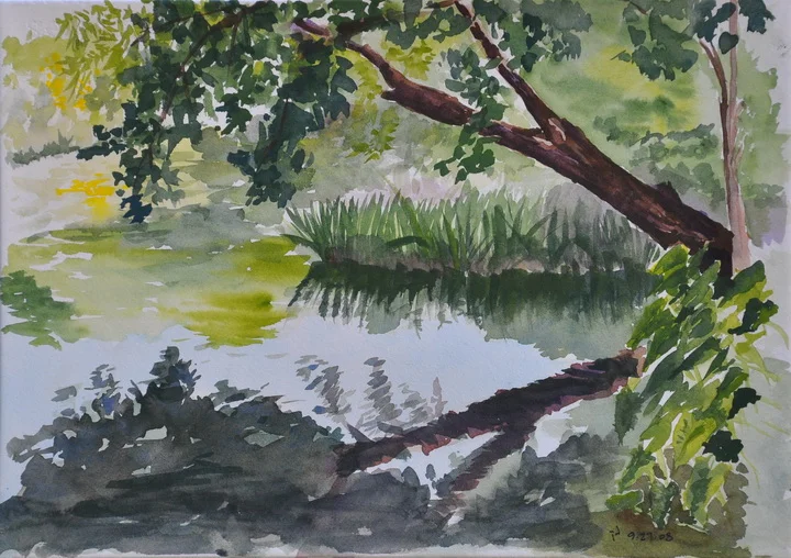 Turtle Creek