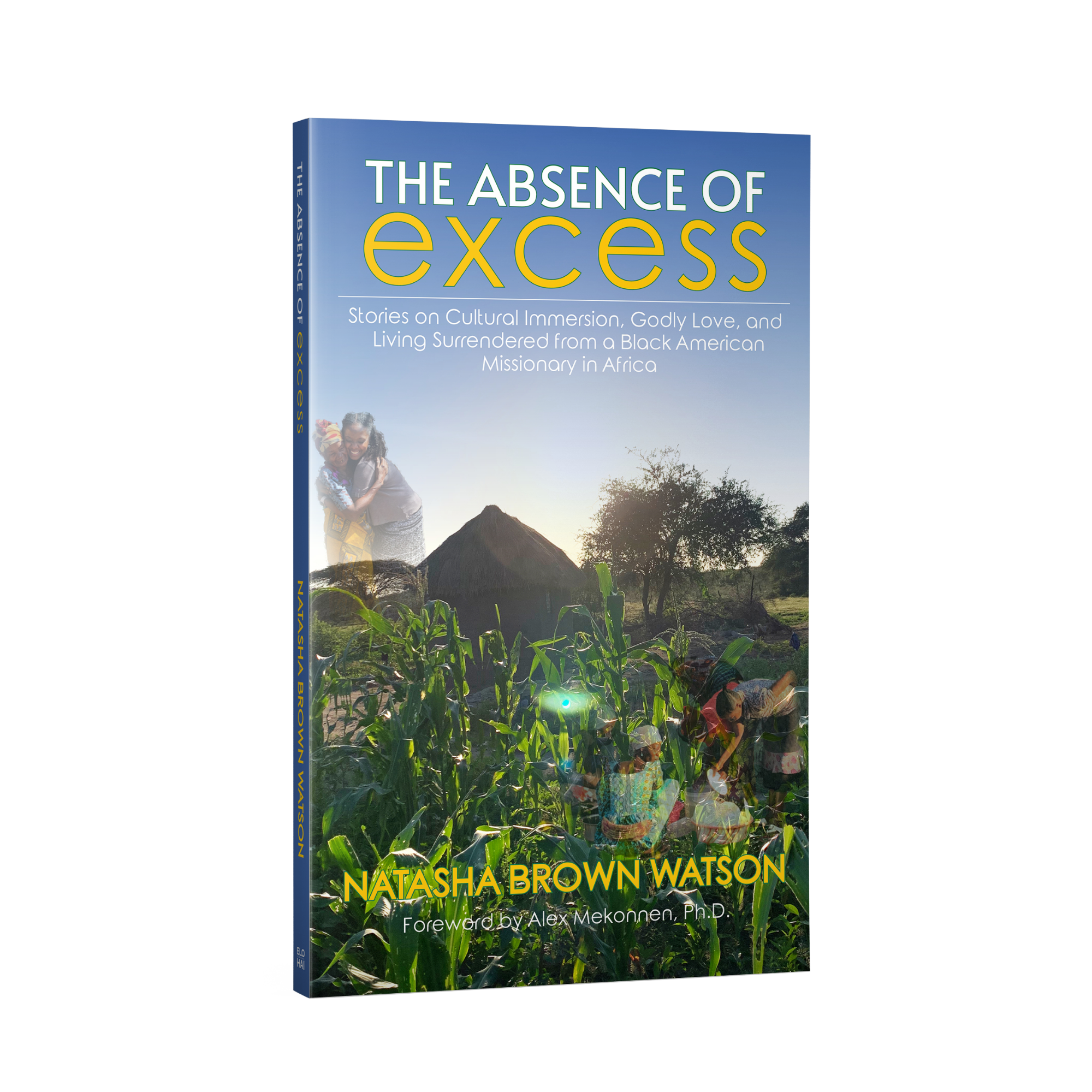 The Absence of Excess: Stories on Cultural Immersion, Godly Love, and Living Surrendered from a Black American Missionary in Africa