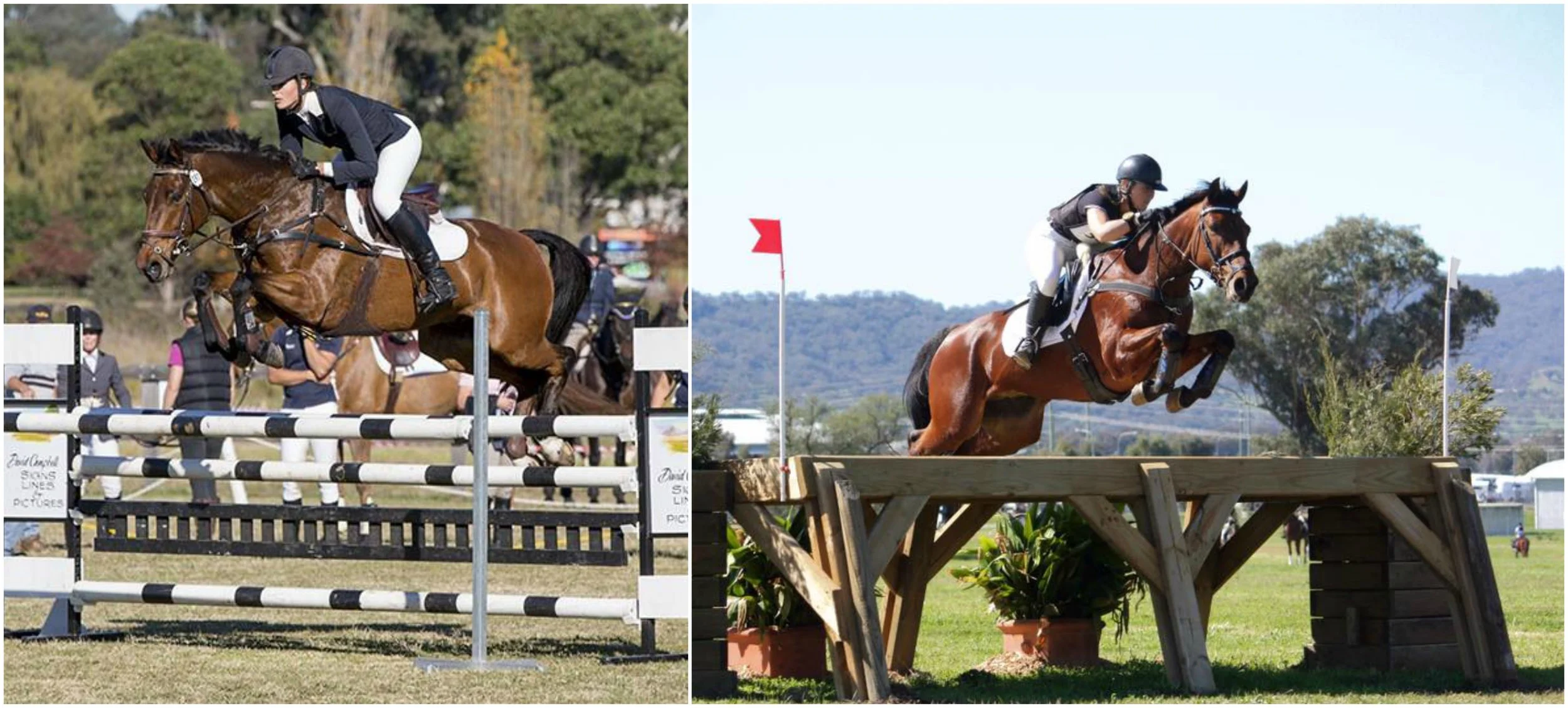 SOLD "Belmont Backstage" on left Camden CIC2** 2014 and right with new rider Jessica Grossman Tamworth CIC3*** 2016