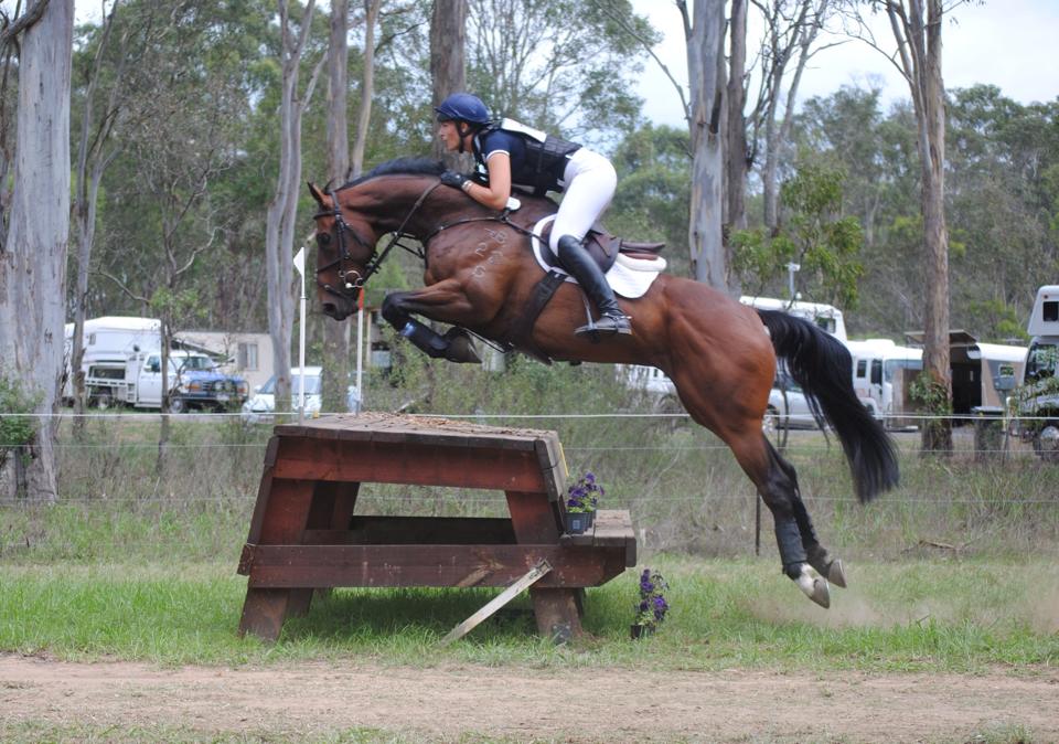 LEASED "Aerodynamic", pictured with Bella Mowbray Sydney Eventing CIC 1*, now leased by Emma Heath.