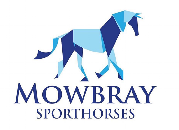 Mowbray Sporthorses