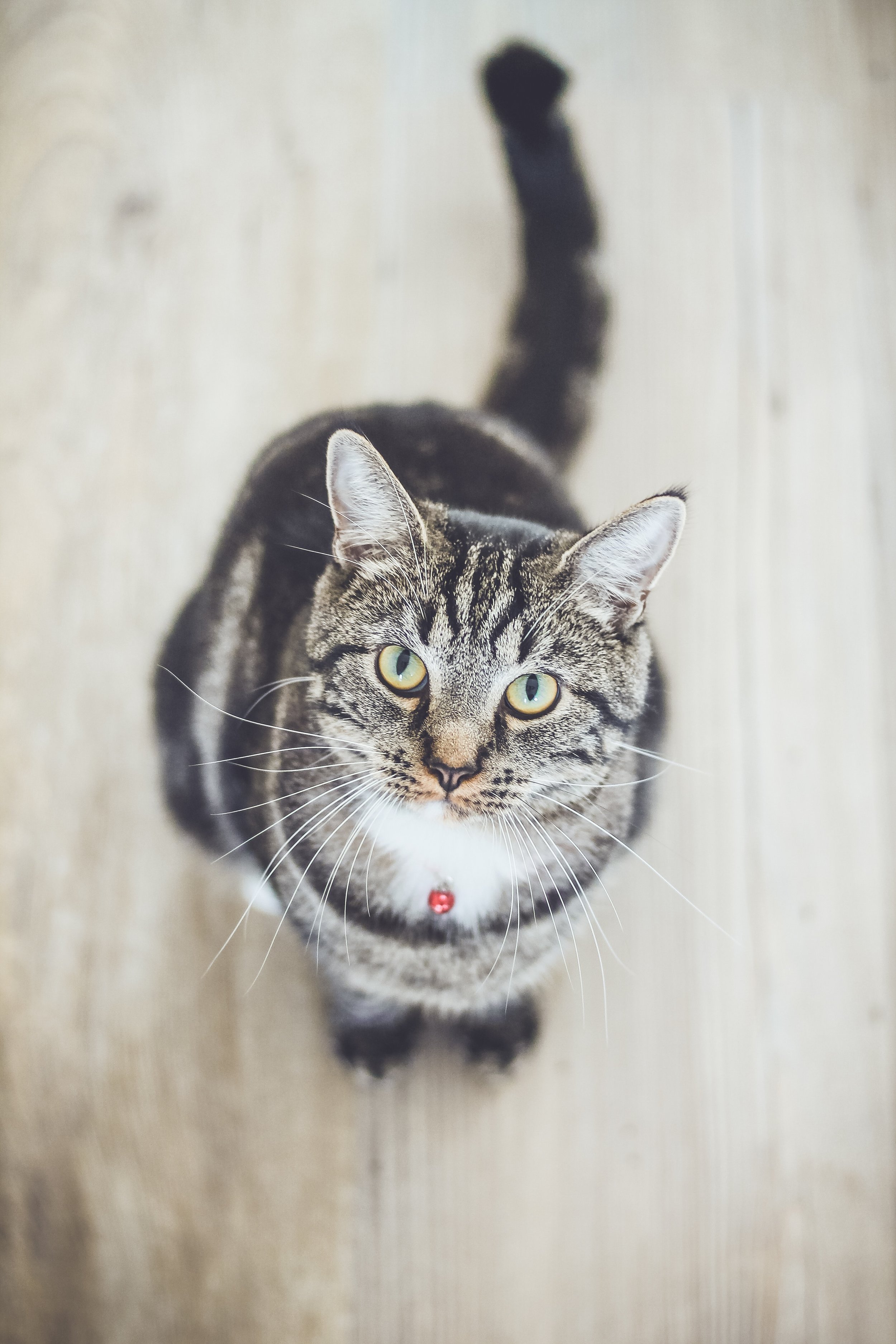 erik-jan-leusink-378147-unsplash.jpg