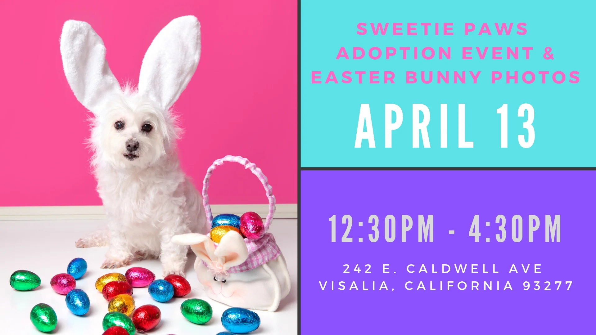 Sweetie Paws-Easter.jpg