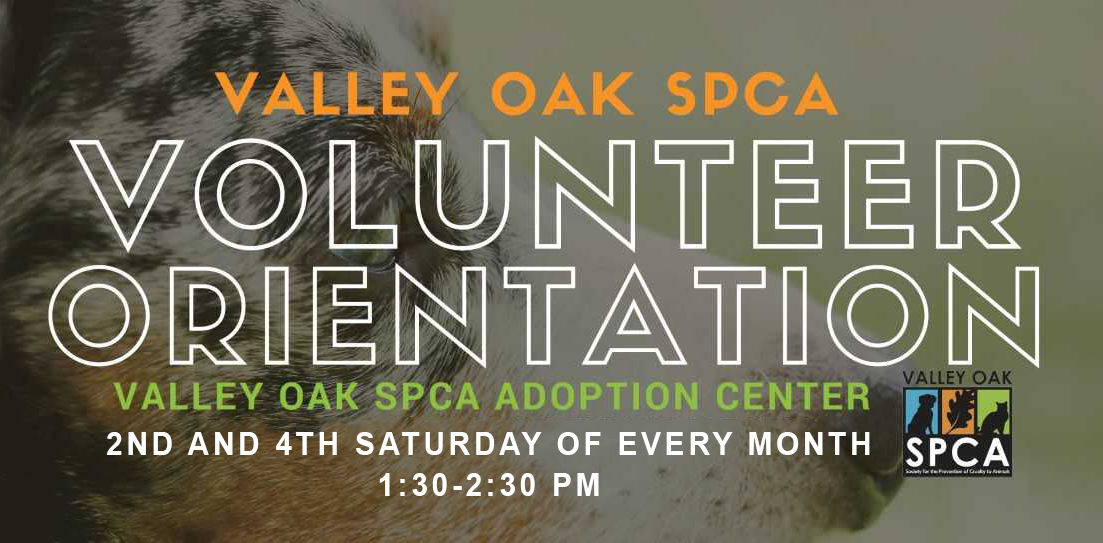 Volunteer Orientation.png