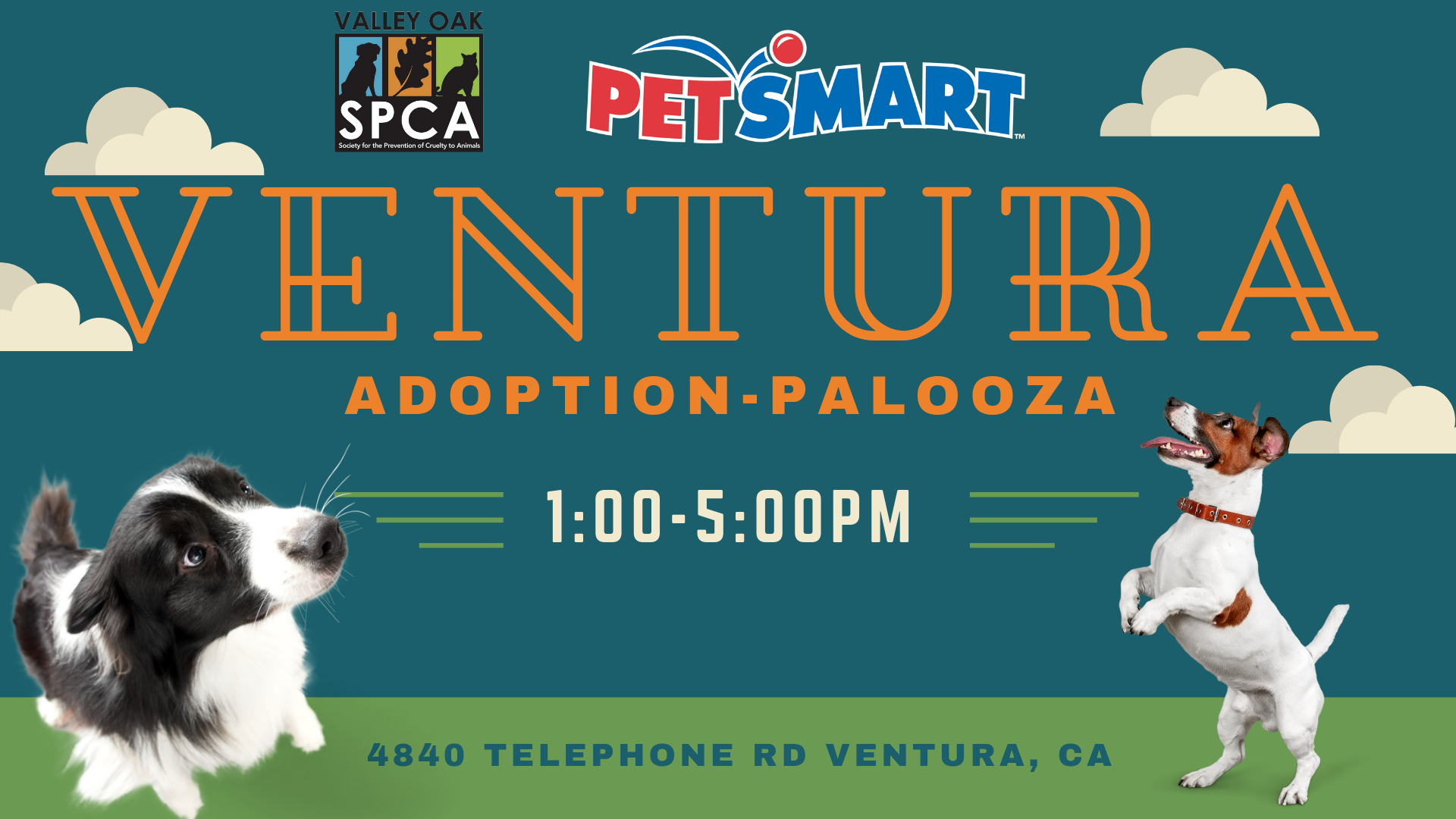 VENTURA Adoption.png