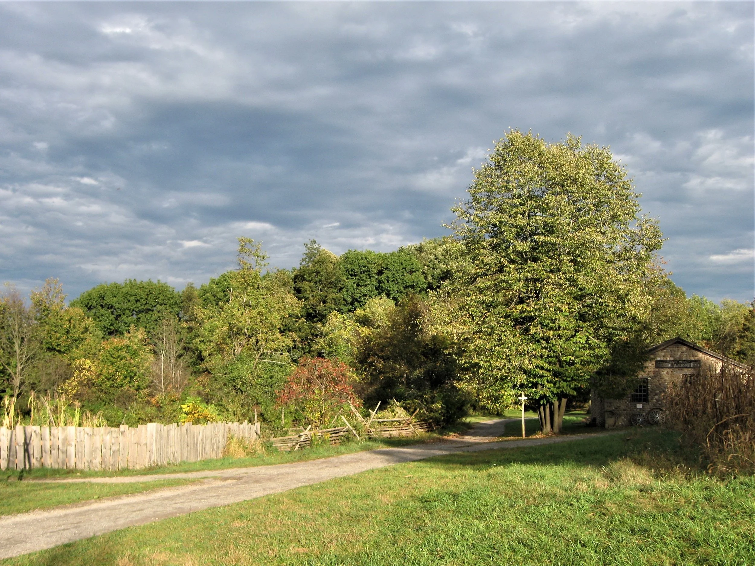 41 road and blacksmith.jpg