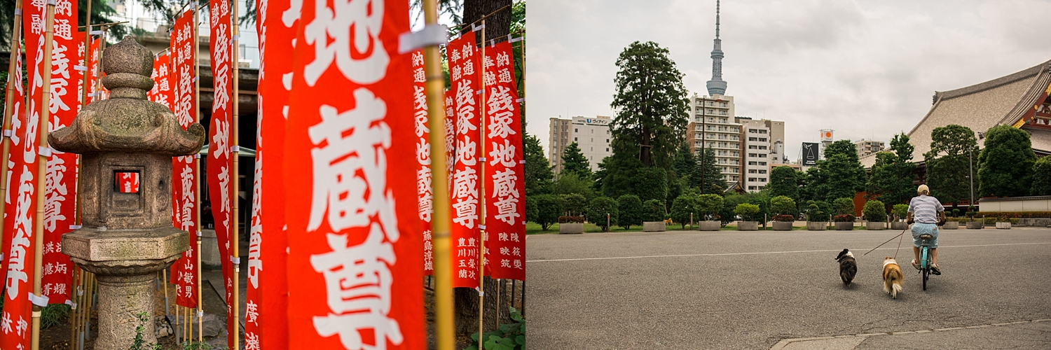 3A9A3306.jpg