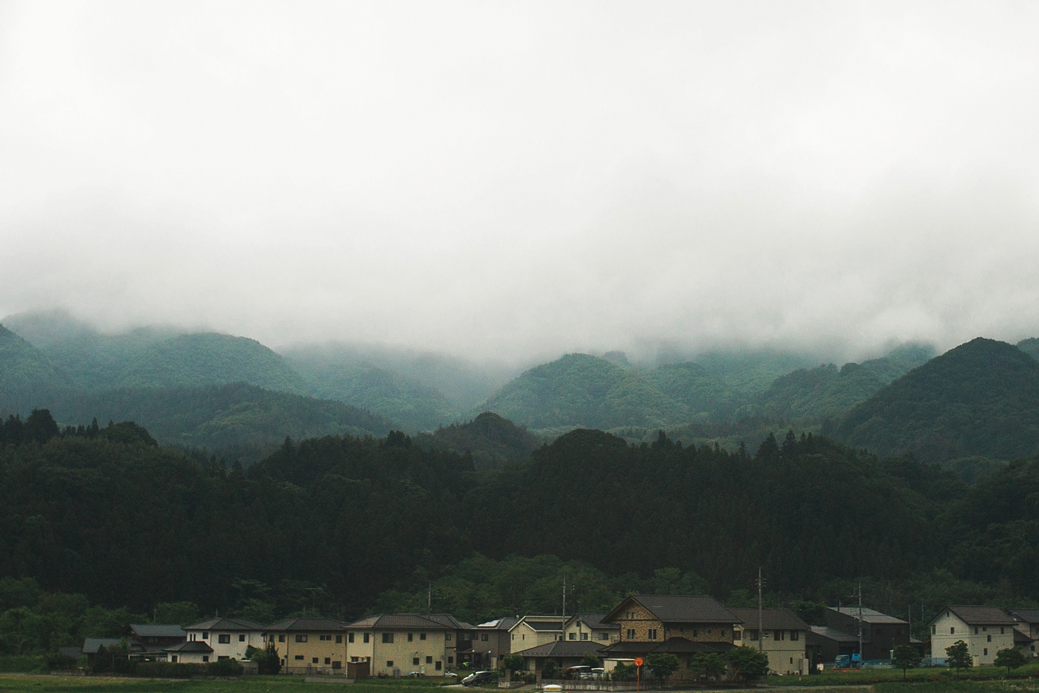 3A9A3514.jpg